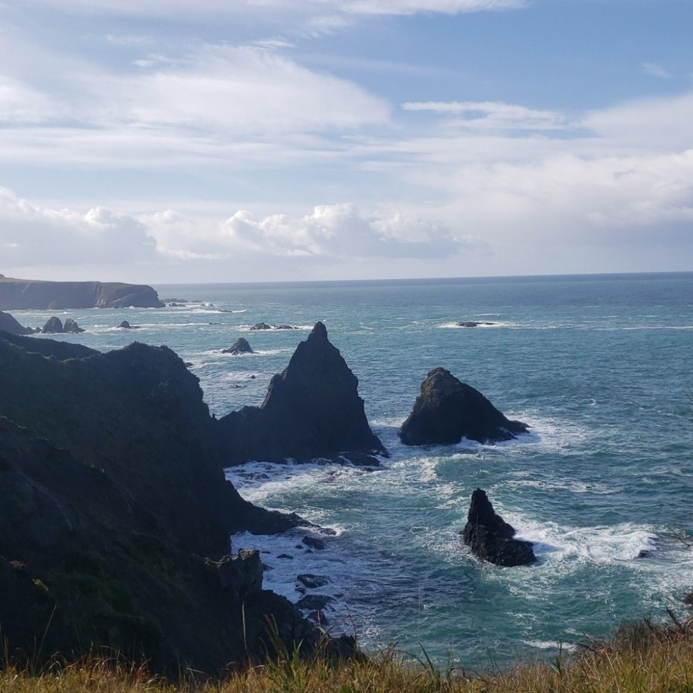 Meet your Posher, Necole